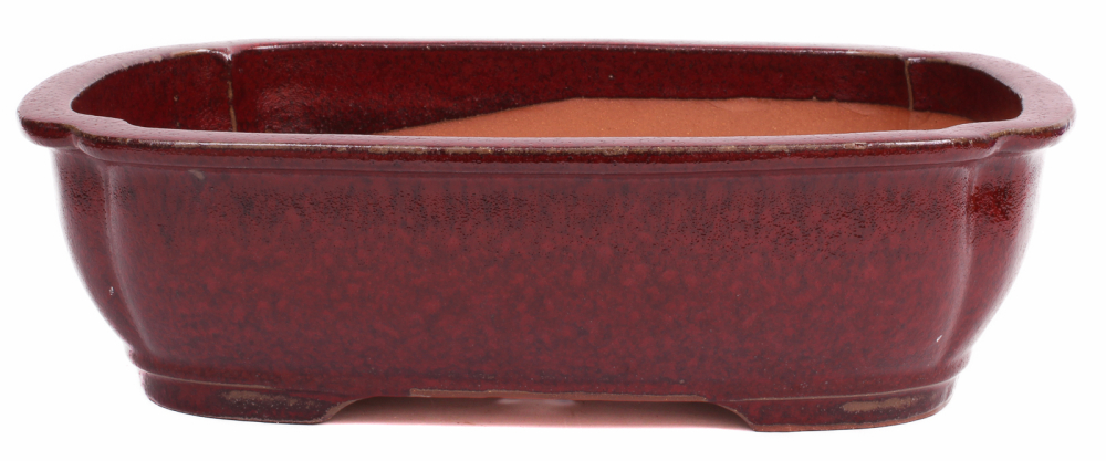 Bonsai - Schale eckig 38 x 30 x 11 cm bordeaux 40231