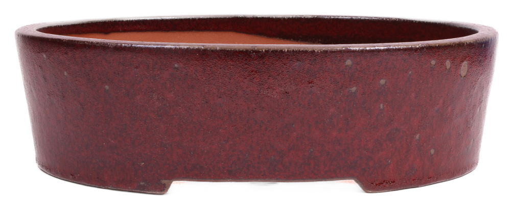 Bonsai - Schale oval 37 x 31 x 11 cm bordeaux 40237