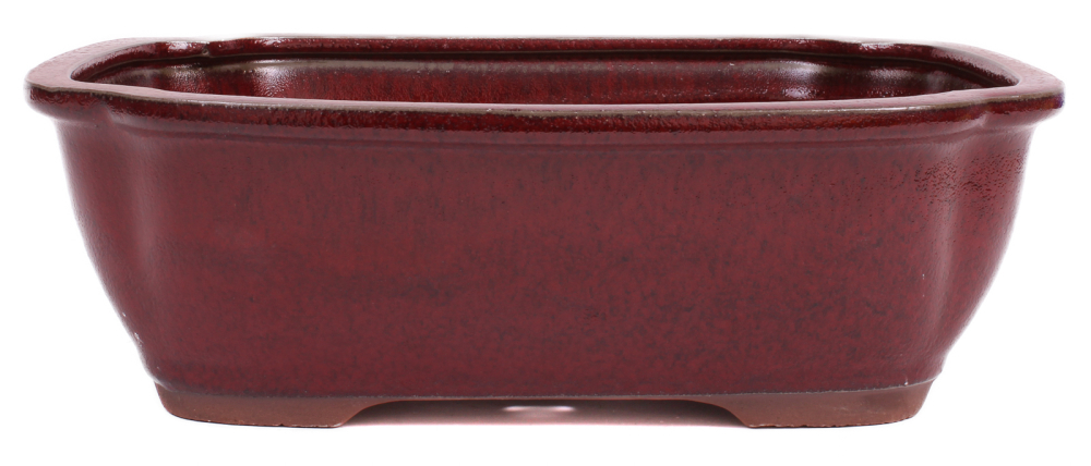Bonsai - Schale eckig 33 x 26 x 10 cm bordeaux 40249