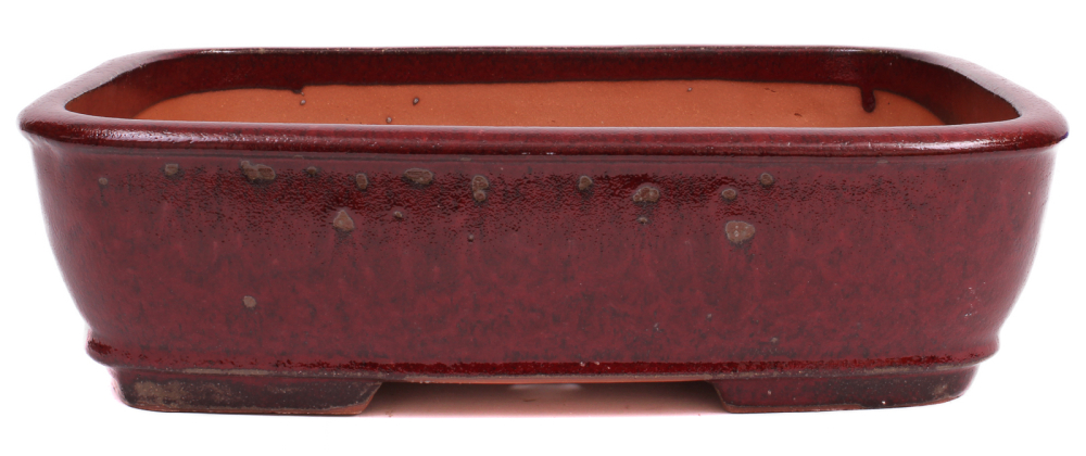 Bonsai - Schale eckig 37.5 x 29.5 x 10.5 cm bordeaux 40255