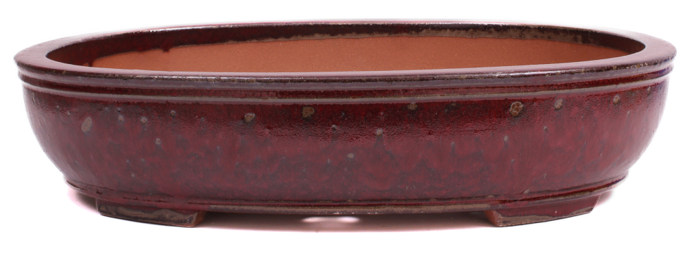 Bonsai - Schale oval 54 x 43.5 x 12.5 cm bordeaux frostfest 40262