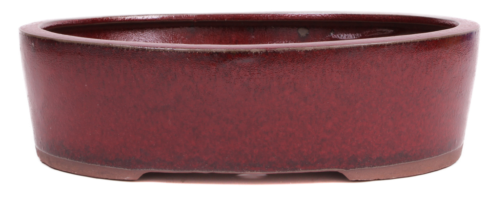 Bonsai - Schale oval 31 x 25 x 9 cm bordeaux  40268