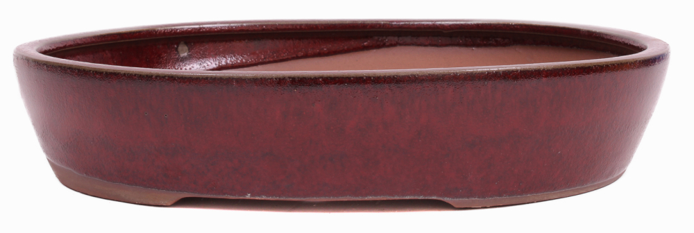 Bonsai - Schale oval 32 x 27.5 x 6.5 cm bordeaux  40271