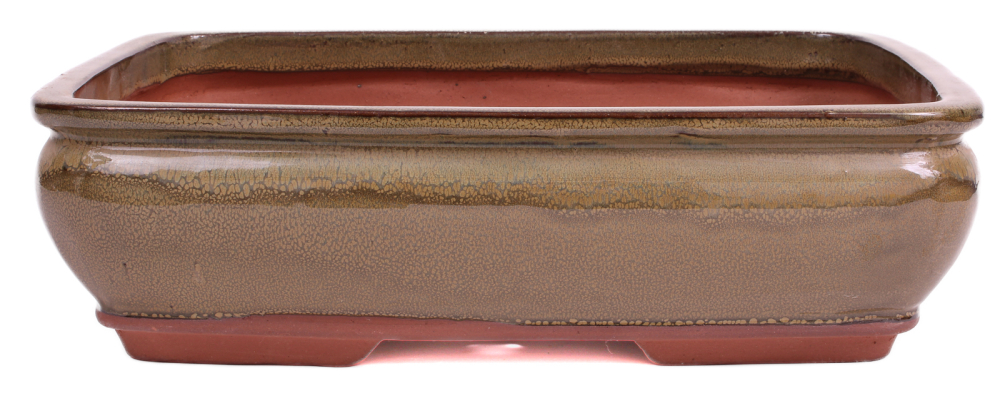 Bonsai - Schale eckig 38 x 30 x 10.5 cm, hellbraun 40405