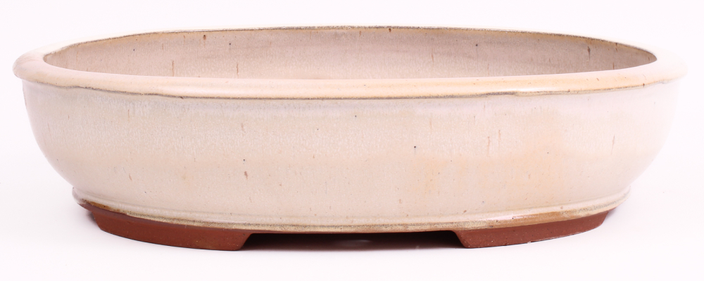 Bonsai - Schale oval 38.5 x 30.5 x 9.5 cm, creme  40406