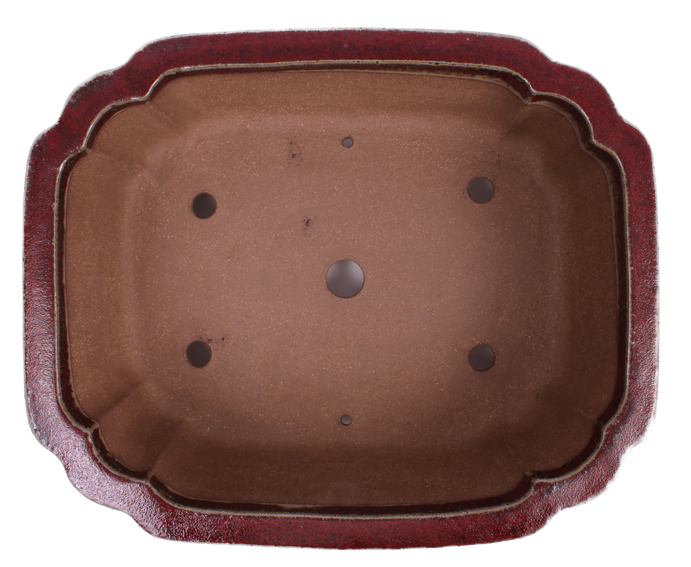 Bonsai - Schale eckig 40.5 x 32.5 x 14.5 cm, bordeaux  frostfest 40425