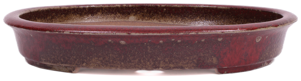 Bonsai - Schale oval 48 x 38.5 x 8 cm, bordeaux  frostfest 40431