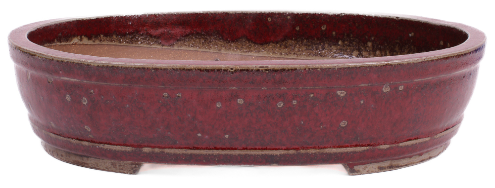 Bonsai - Schale oval 41 x 33 x 10 cm, bordeaux, frostfest 40434