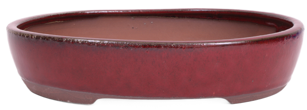 Bonsai - Schale oval 32 x 26 x 7 cm, bordeaux 40436