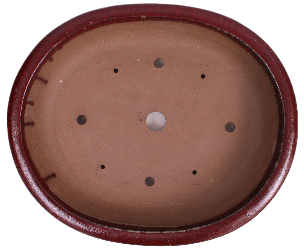 Bonsai - Schale oval 51 x 42.5 x 11 cm bordeaux frostfest 40443