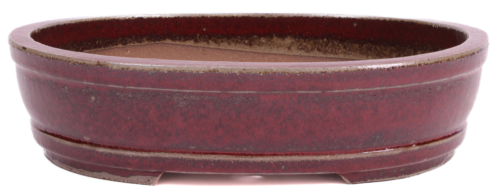 Bonsai - Schale oval 35.5 x 28.5 x 8.3 cm bordeaux frostfest 40456