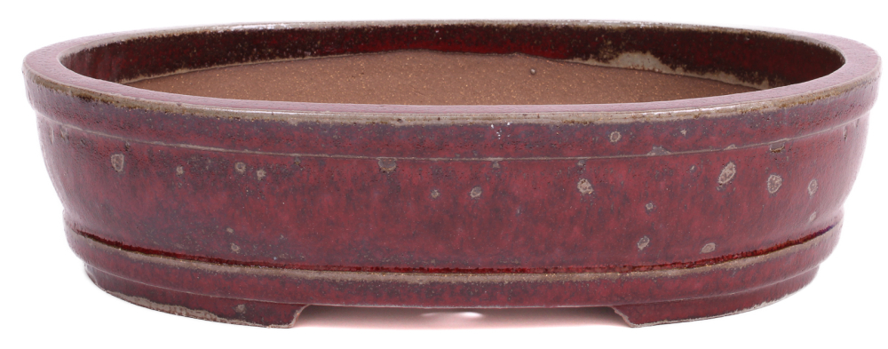 Bonsai - Schale oval 35.5 x 28.5 x 8.3 cm bordeaux frostfest 40456