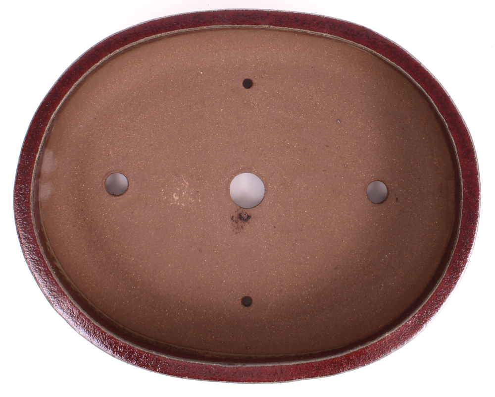 Bonsai - Schale oval 35.5 x 28.5 x 8.3 cm bordeaux frostfest 40456