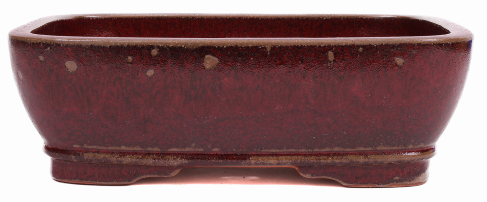 Bonsai - Schale  eckig  31 x 25 x 9.5 cm bordeaux frostfest 40461