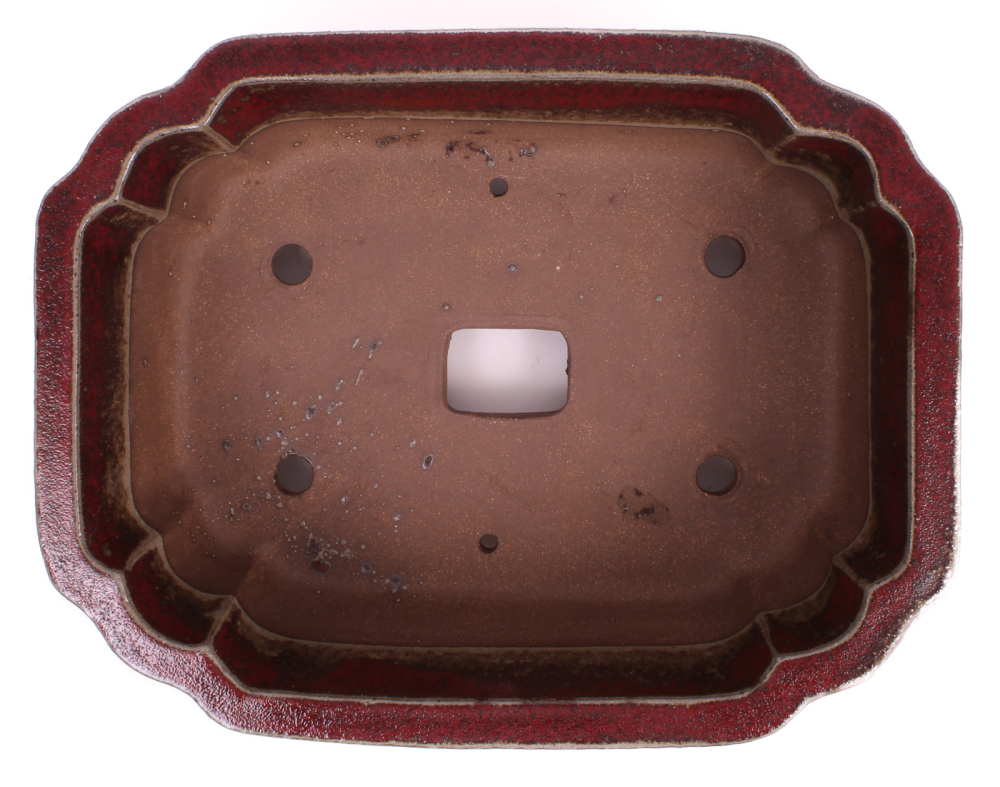 Bonsai - Schale eckig 36 x 28 x 12.5 cm  bordeaux  frostfest 40462