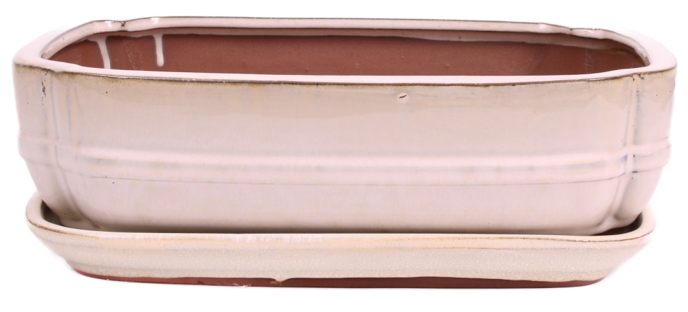 Bonsai - Schale eckig 32.5 x 25.5 x 9 cm, creme, mit Untersetzer 41112