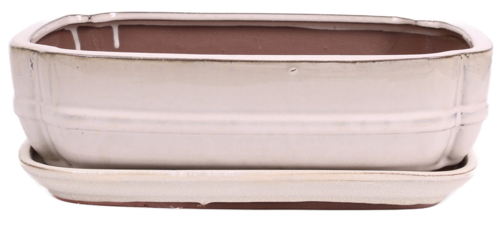 Bonsai - Schale eckig 32.5 x 25.5 x 9 cm, creme, mit Untersetzer 41112