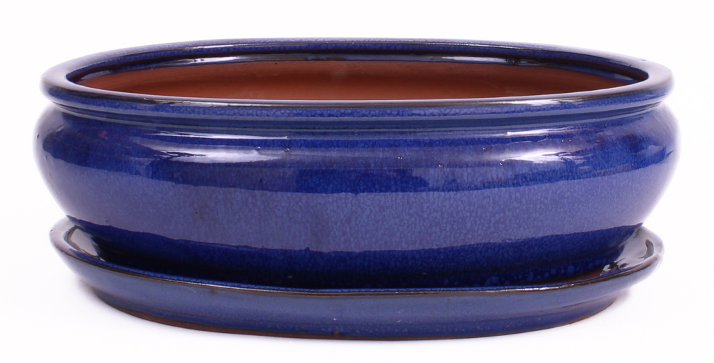 Bonsai - Schale oval 31 x 24 x 10.5 cm, blau, mit Untersetzer 41114