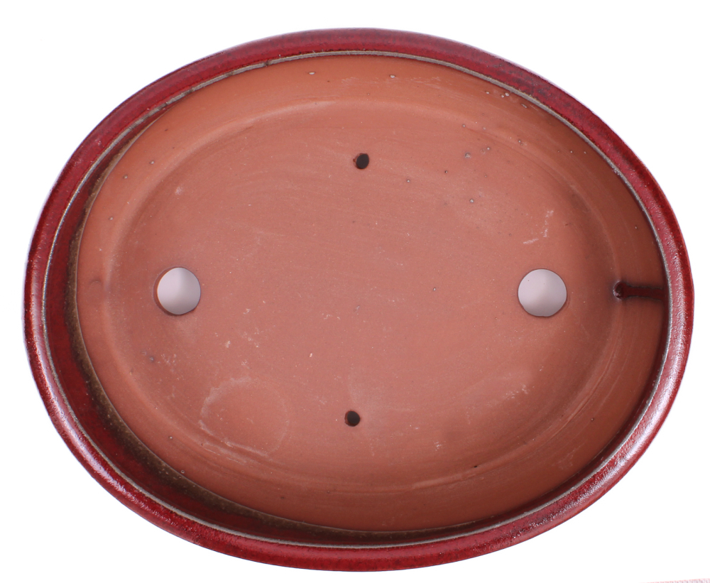 Bonsai - Schale oval 31 x 25 x 9 cm, bordeaux, mit Untersetzer 41115