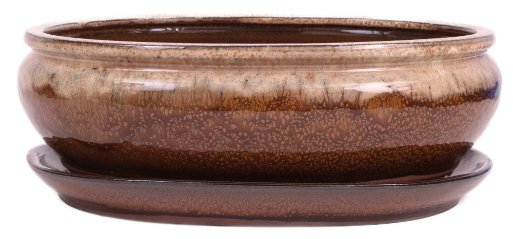 Bonsai - Schale oval 30.5 x 24.5 x 10.5 cm , beige / braun , mit Untersetzer 41120
