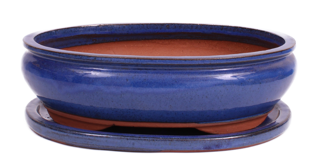Bonsai - Schale oval 36 x 28.5 x 10.5 cm blau mit Untersetzer 41125