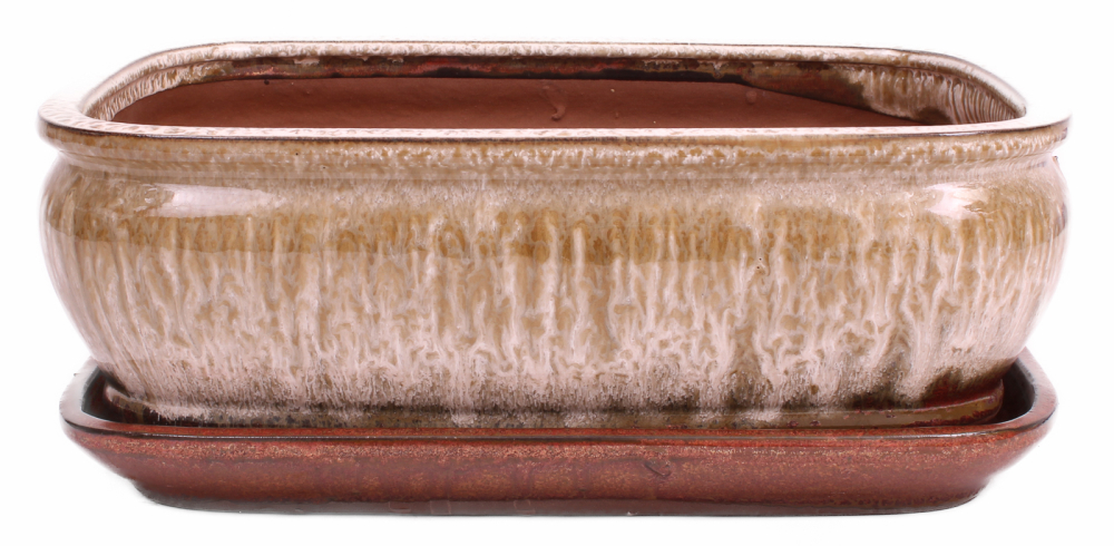 Bonsai - Schale eckig 31.5 x 25.5 x 11 cm , beige / kupfer , mit Untersetzer 41129