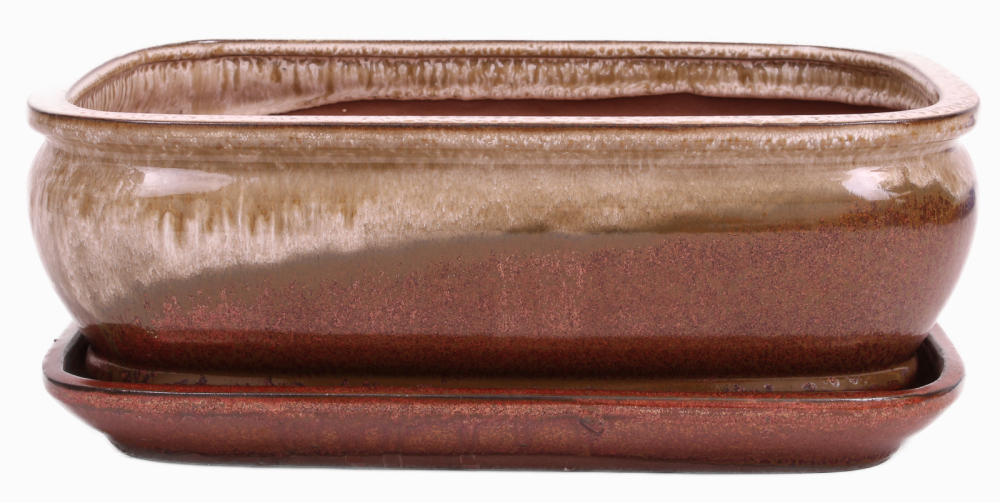 Bonsai - Schale eckig 31.5 x 25.5 x 11 cm , beige / kupfer , mit Untersetzer 41129