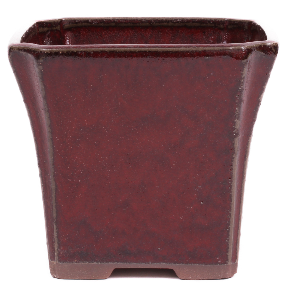 Bonsai Kaskadenschale quadratisch 13 x 13 x 11.5 cm bordeaux 50071