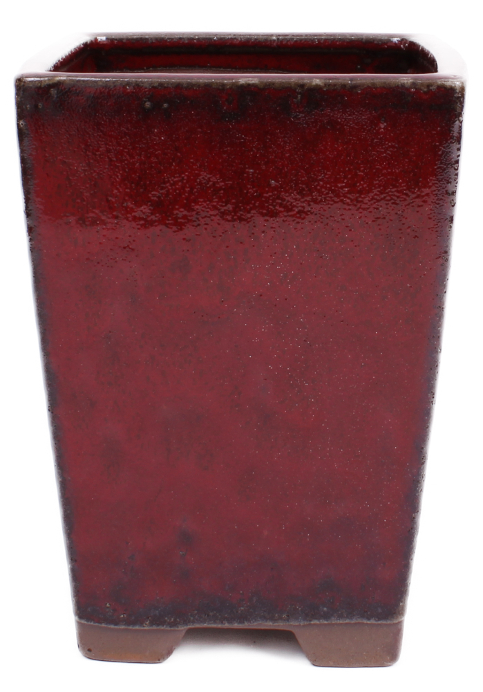 Bonsai - Kaskadenschale 14 x 14 x 19 cm bordeaux  50199