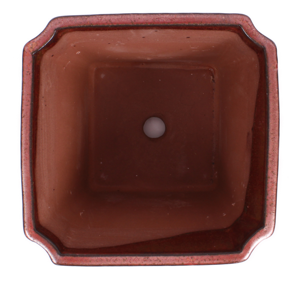 Bonsai Kaskadenschale quadratisch 15.5 x 15.5 x 14 cm kupferfarben  50214