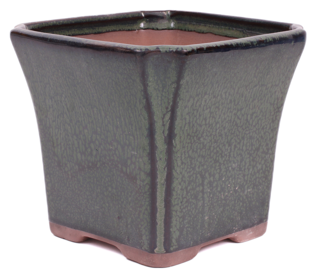 Bonsai Kaskadenschale quadratisch 15.5 x 15.5 x 14 cm grün 50216