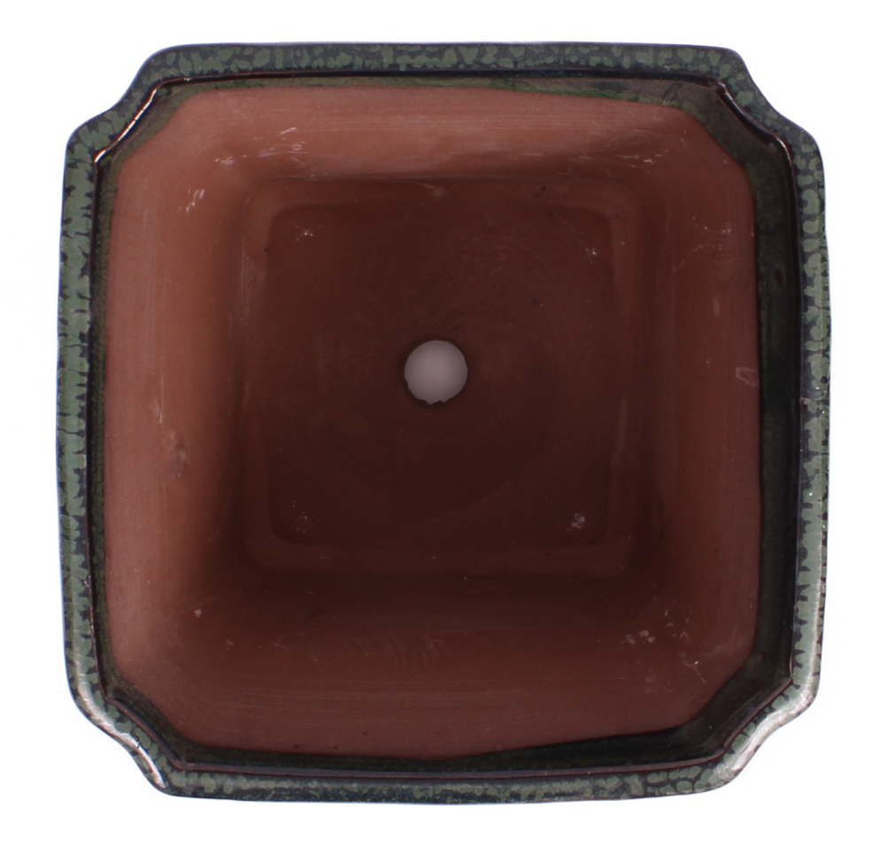 Bonsai Kaskadenschale quadratisch 15.5 x 15.5 x 14 cm grün 50216