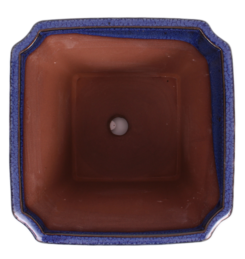 Bonsai Kaskadenschale quadratisch 15.5 x 15.5 x 14 cm blau 50225