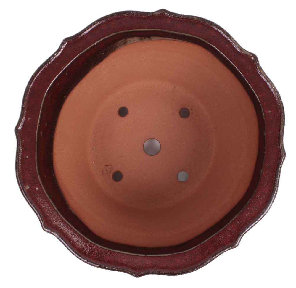 Bonsai - Kaskadenschale rund 39 Ø x 20 cm bordeaux frostfest 50236