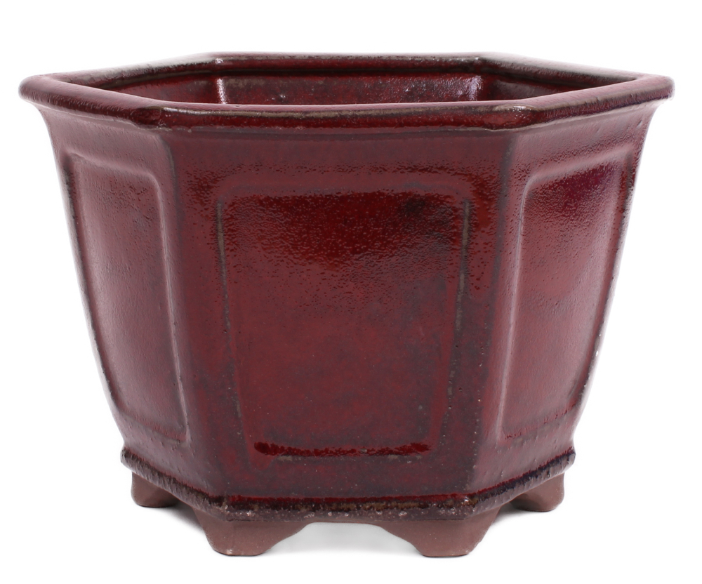 Bonsai - Kaskadenschale 6-eckig 22.5 Ø x 20.5 cm bordeaux 50237