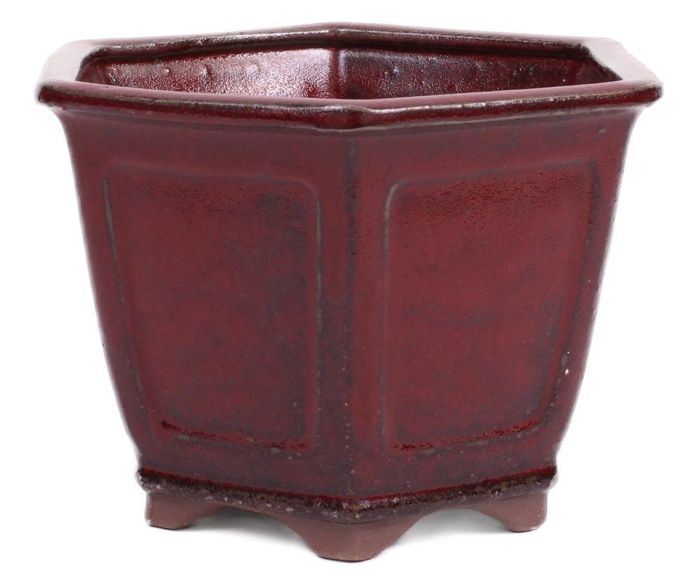 Bonsai - Kaskadenschale 6-eckig 22.5 Ø x 20.5 cm bordeaux 50237