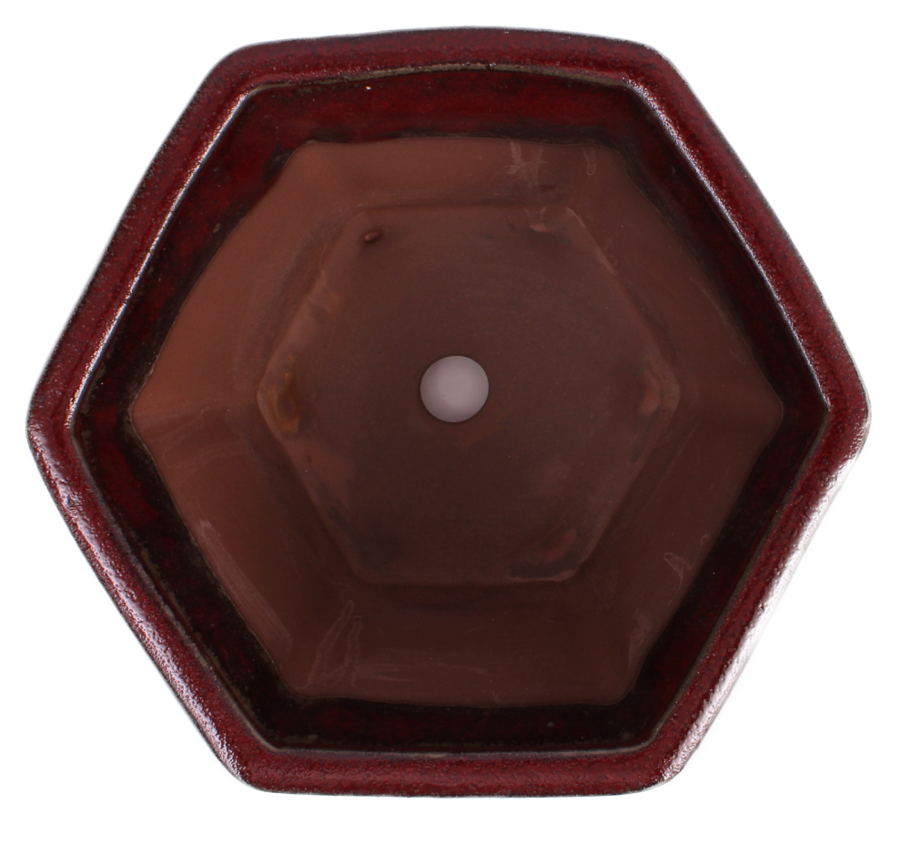 Bonsai - Kaskadenschale 6-eckig 22.5 Ø x 20.5 cm bordeaux 50237