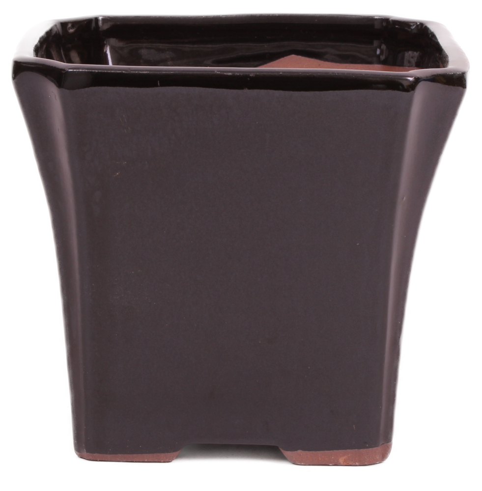 Bonsai Kaskadenschale quadratisch 13 x 13 x 11.5 cm schwarz 50238