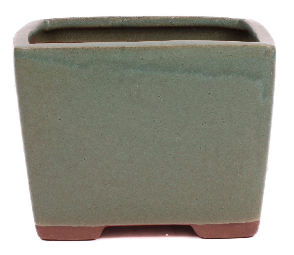 Bonsai Kaskadenschale quadratisch 13.5 x 13.5 x 10.5 cm mattgrün  50241