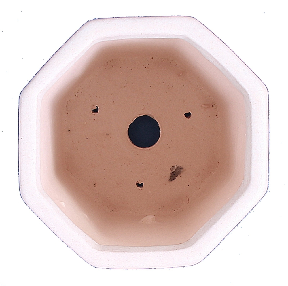Bonsai - Kaskadenschale 6-eckig 10,5 x 10,5 x 17 cm, weiss - rosa 50967