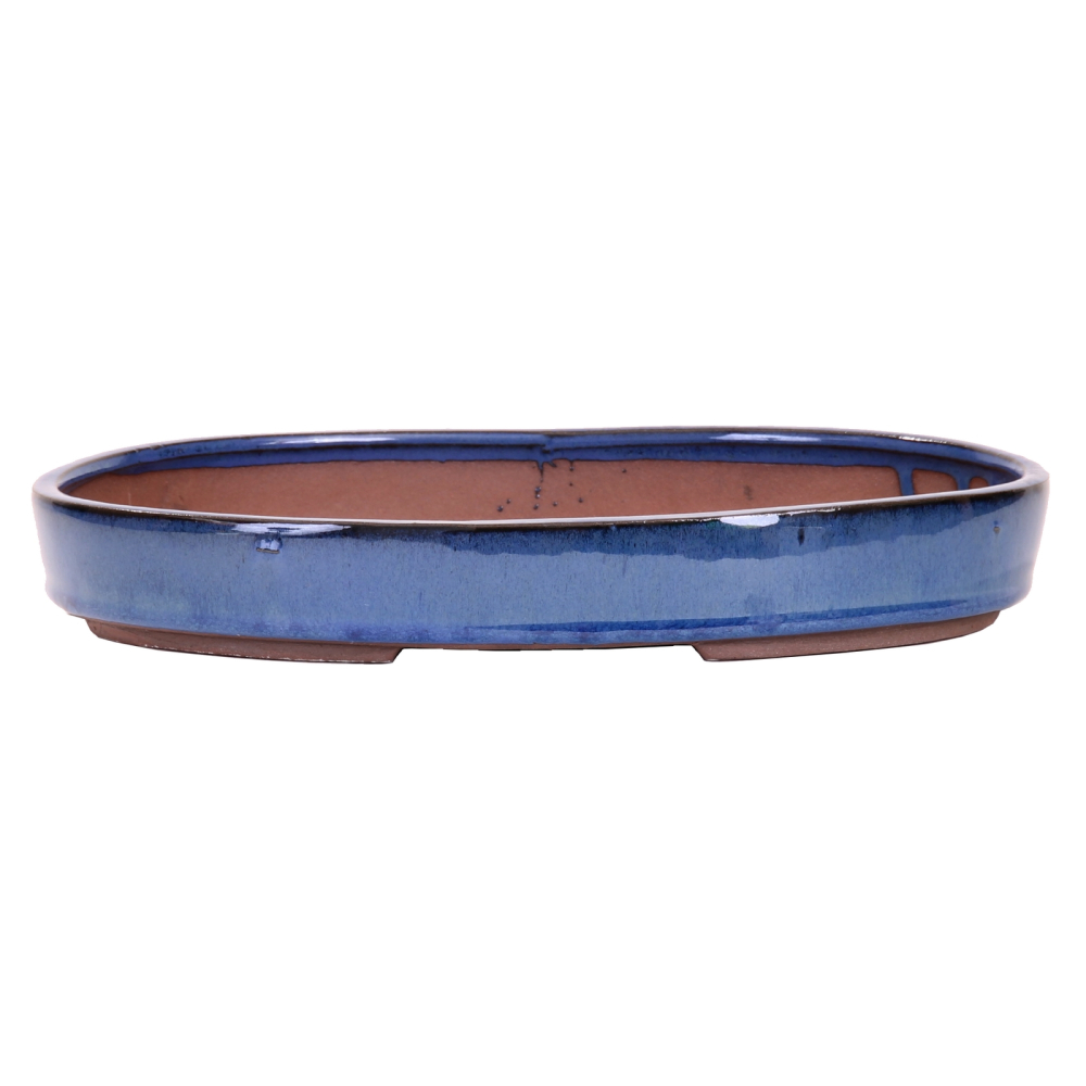 Bonsai - Schale, Waldschale, oval 31 x 21 x 4,5 cm blau   51006