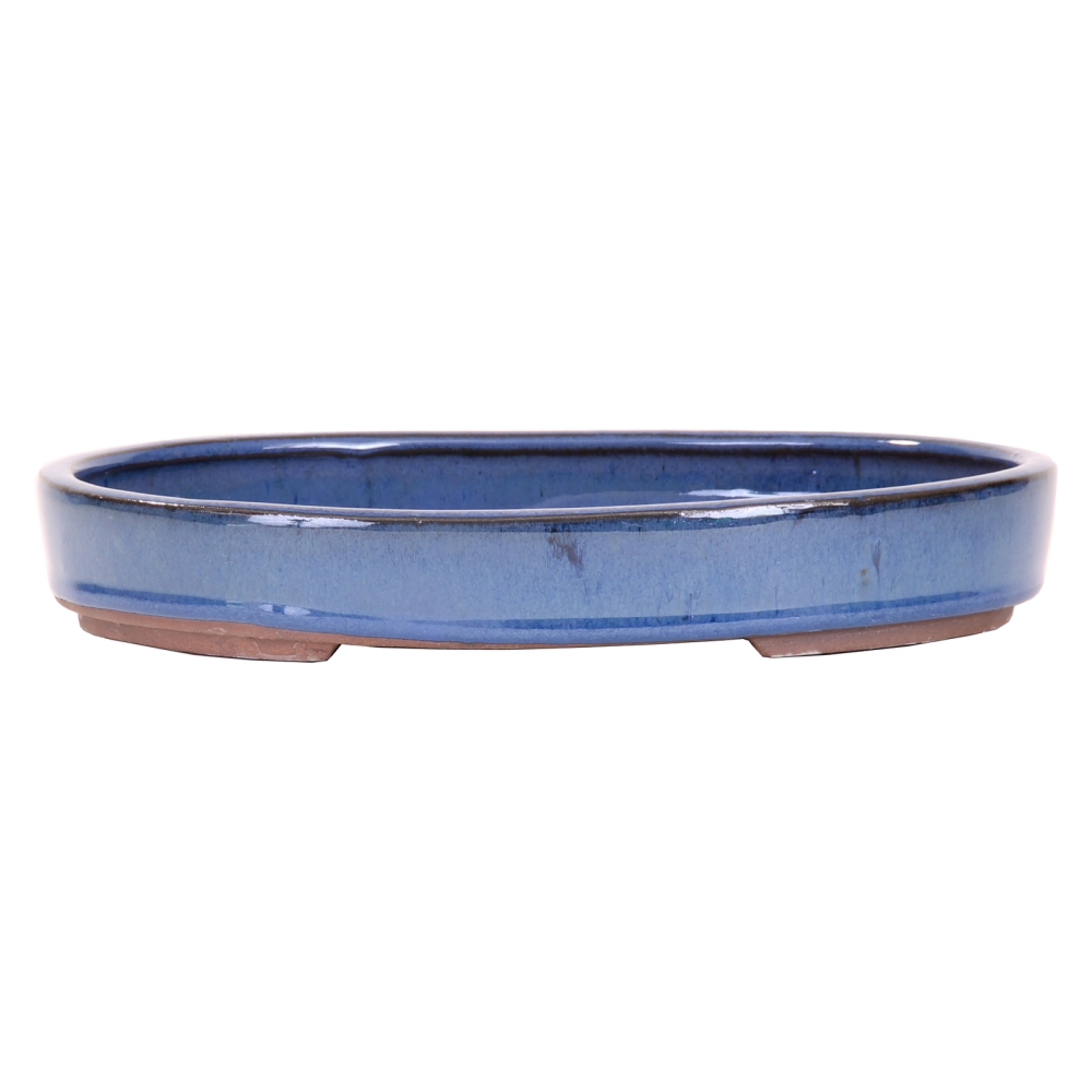 Bonsai - Schale, Waldschale, oval 25 x 18 x 4 cm blau  51008