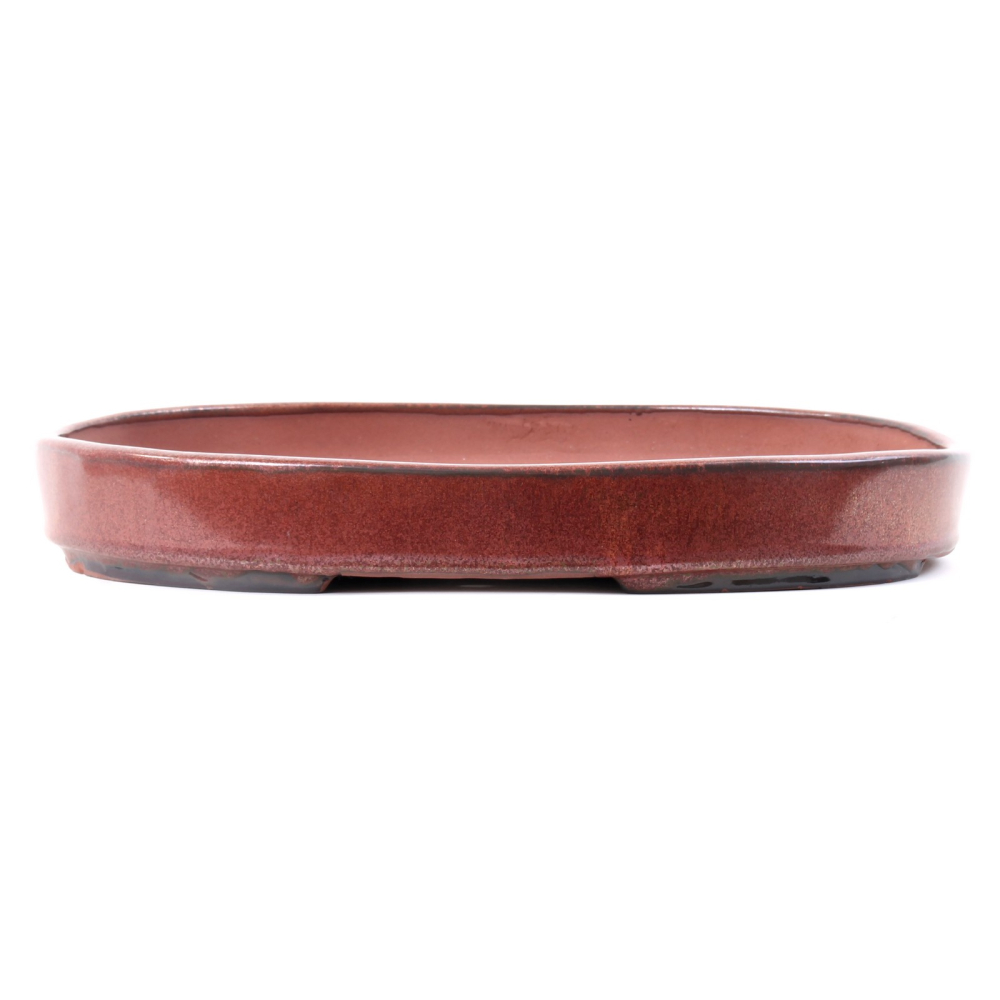 Bonsai - Schale, Waldschale, oval 34 x 25 x 4,5 cm kupferfarben frostfest  51011