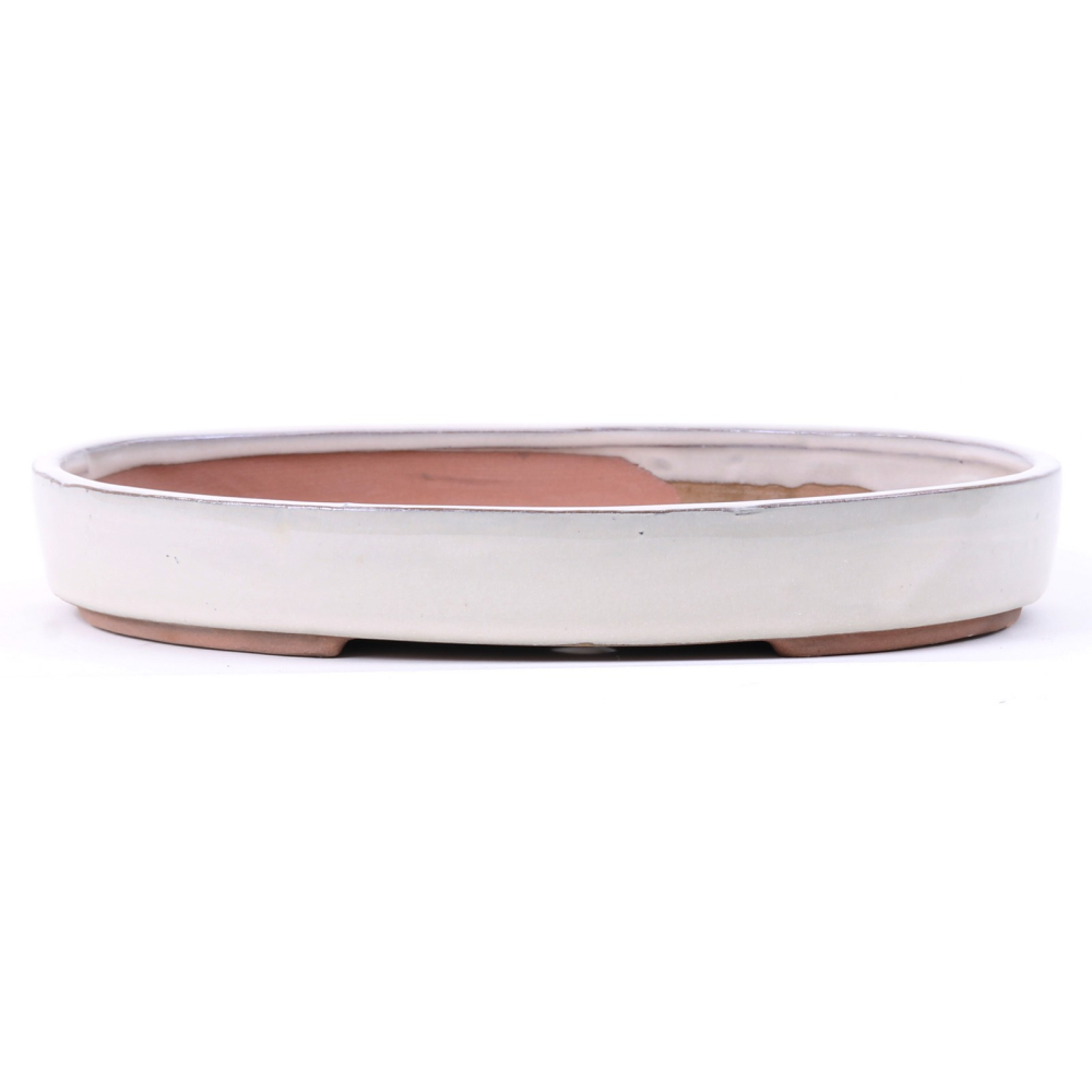Bonsai - Schale, Waldschale, oval 25 x 18 x 4 cm creme 51013