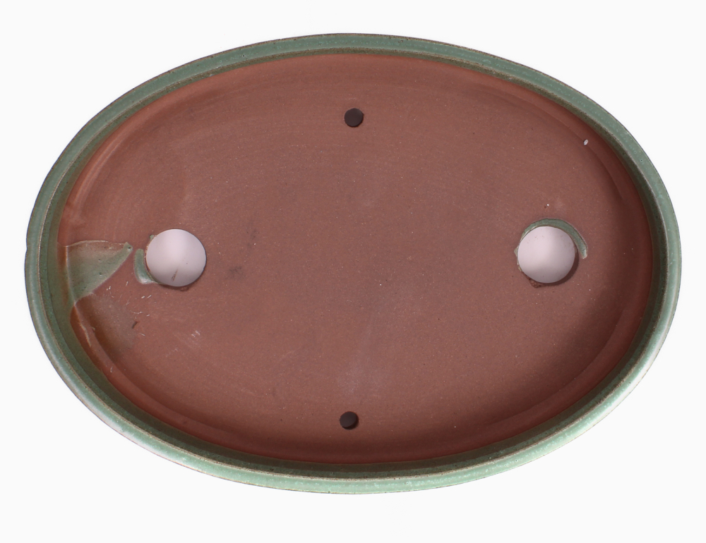 Bonsai - Schale Waldschale oval 25 x 18 x 4 cm mattgrün  51032