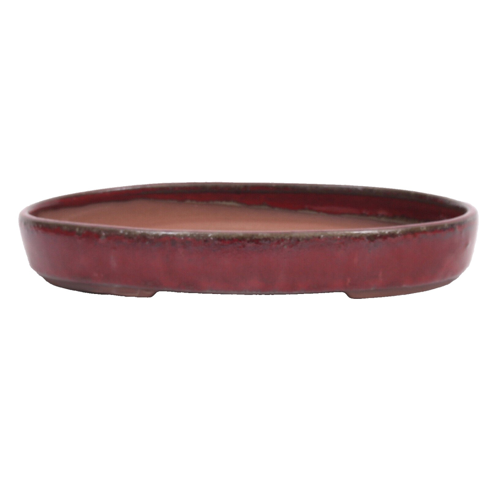 Bonsai - Schale, Waldschale, oval 25 x 18 x 4 cm bordeaux  51336