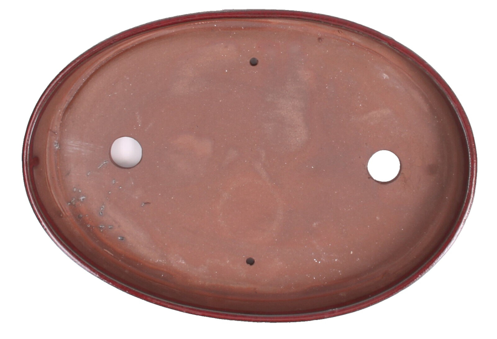 Bonsai - Schale, Waldschale, oval 31 x 21 x 4,5 cm bordeaux   51337