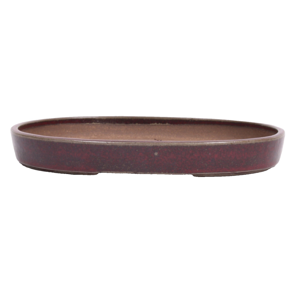 Bonsai - Schale, Waldschale, oval 34 x 24 x 4.5 cm bordeaux frostfest 51338