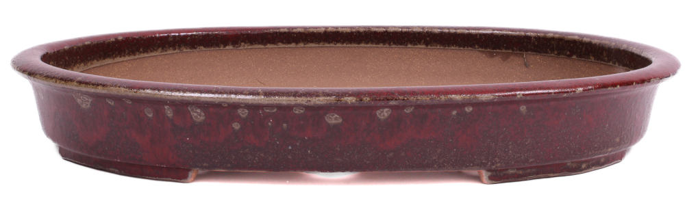 Bonsai - Schale, Waldschale, oval 55 x 42 x 8 cm bordeaux frostfest  51340