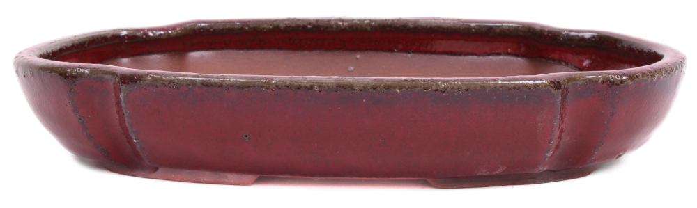 Bonsai - Schale, Waldschale, oval 21.5 x 14.5 x 3.8 cm bordeaux  51347